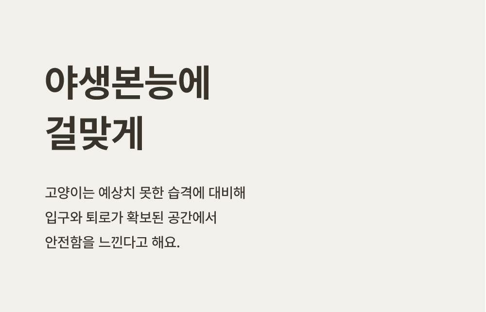[NEW신상][무료배송] 큐빅스펫 숨숨집 1x1 + 커버 세트 아이보리/화이트/카뎃블루/레드/그레이/옐로우 21번째
