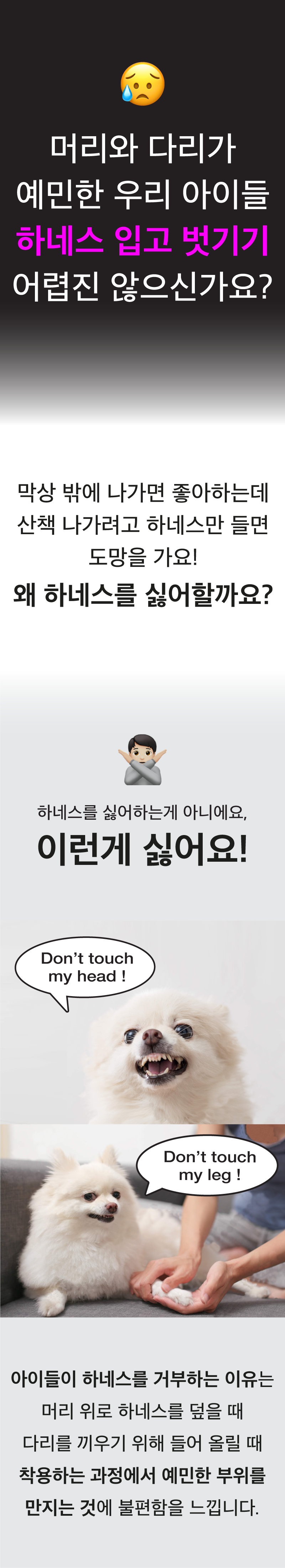 [NEW신상][무료배송] 코코넛즈 노터치 라이트 하네스 - 블랙 2번째
