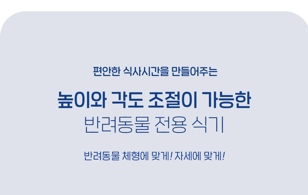 페스룸 웰 핏 보울 화이트 9번째