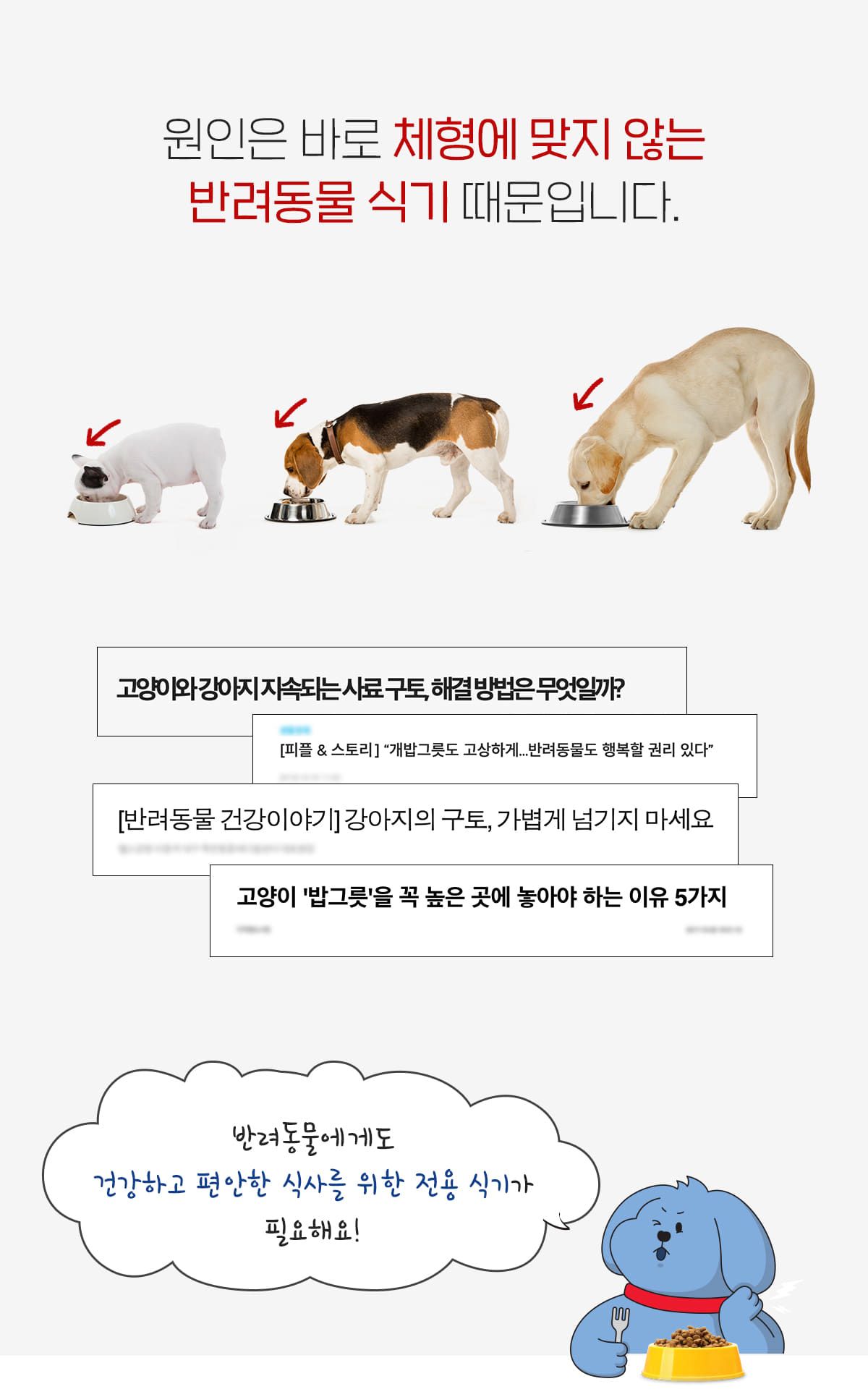 페스룸 웰 핏 보울 화이트 4번째