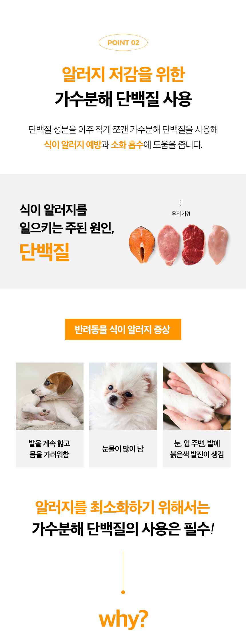 [무료배송] 옵티펫츄어블 데일리케어(장건강) 300g 13번째