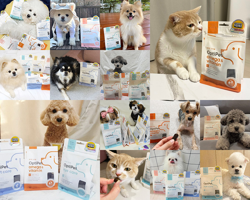 [무료배송] 옵티펫츄어블 데일리케어(장건강) 300g 3번째