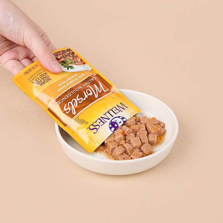 웰니스 캣 헬시 인덜전스 머셀 닭고기&연어 파우치 85g 1번