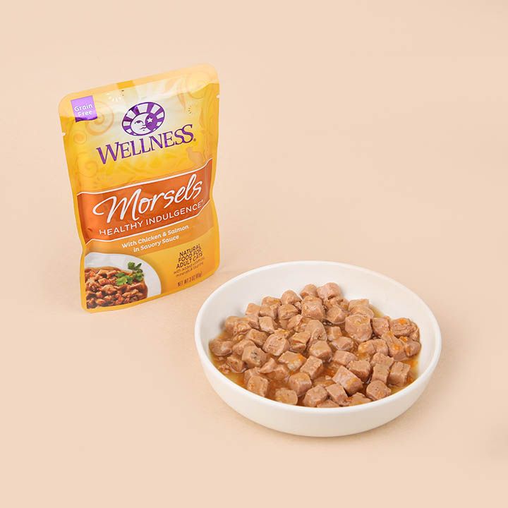 웰니스 캣 헬시 인덜전스 머셀 닭고기&연어 파우치 85g 2번