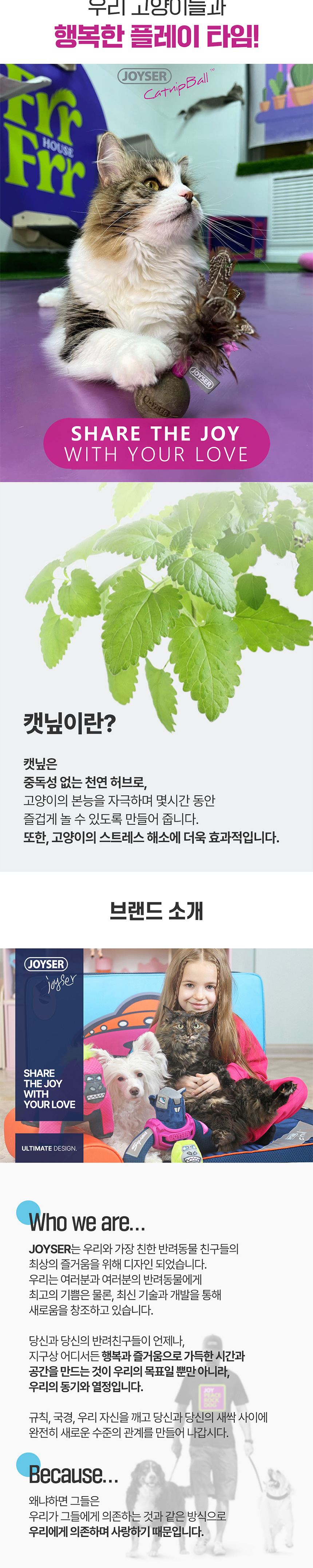 [무료배송] 조이서 캣 캣닢듀오볼/종이깃털 4번째