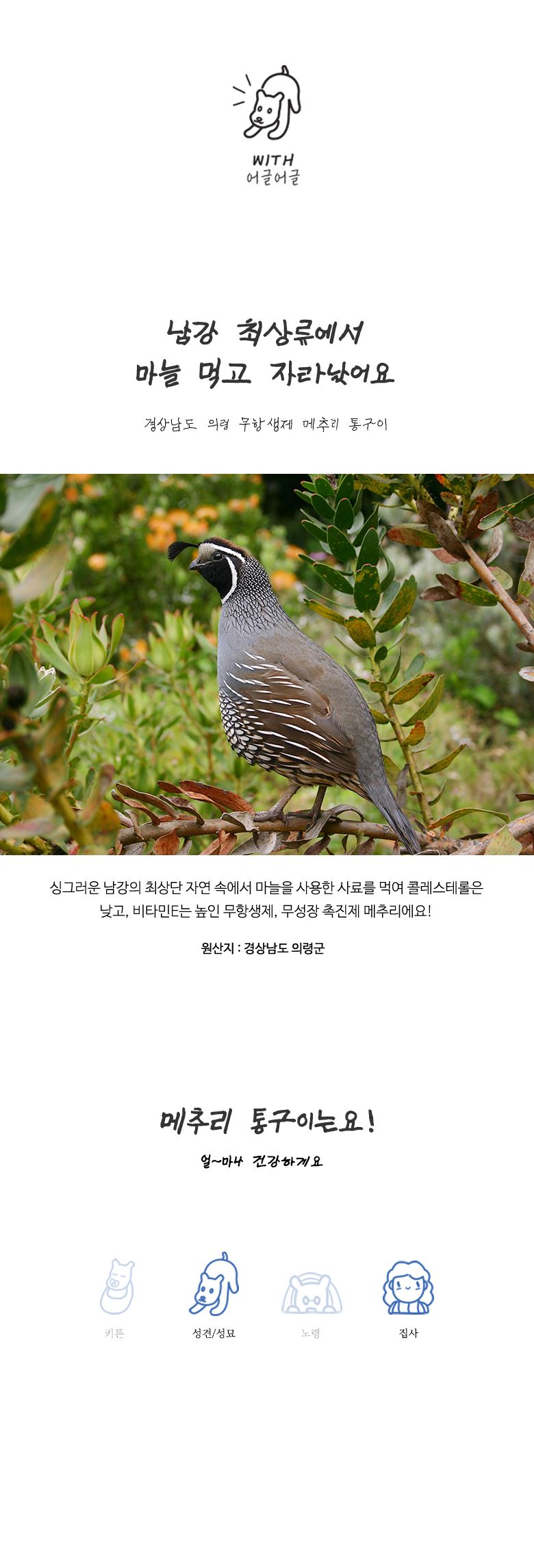 [무료배송] 어글어글 독 VALUE PACK 경상남도 의령 친환경 메추리 통구이 3p*3개입 2번째
