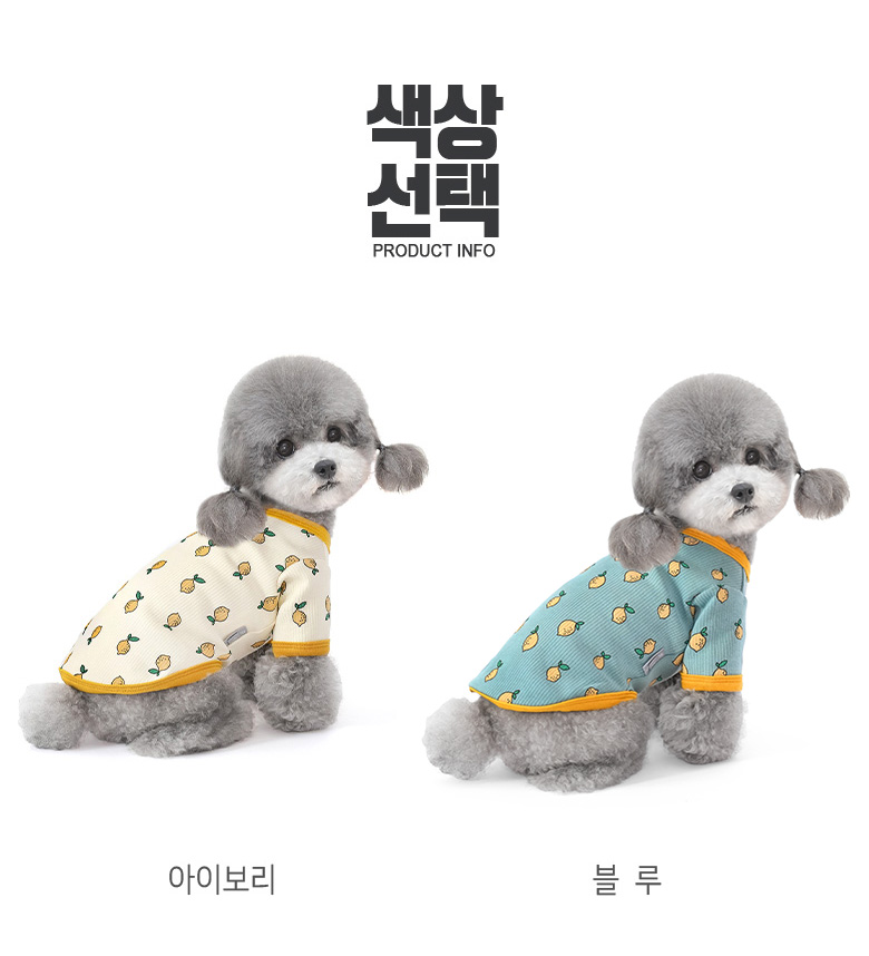 [NEW신상][무료배송] 준성펫 레몬 티셔츠&모자 세트 (아이보리/블루) 4번째