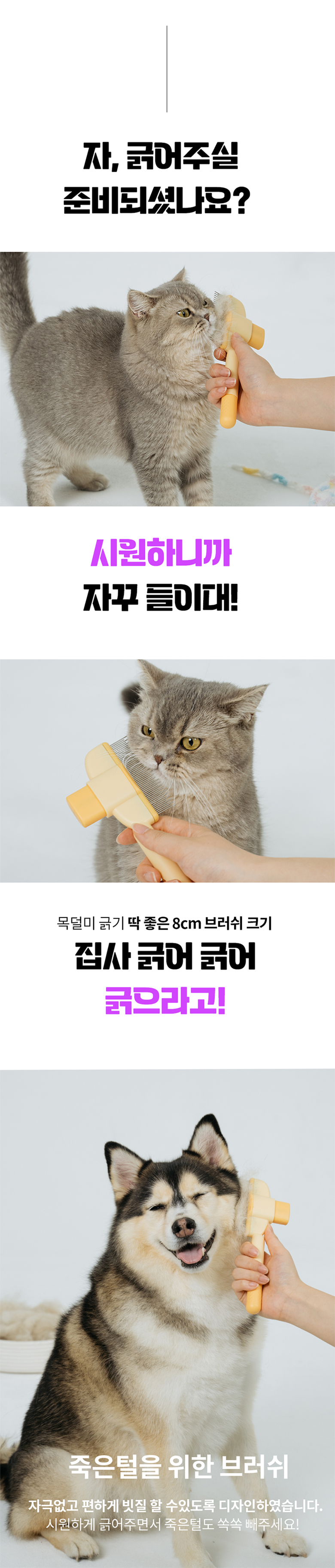 [NEW신상]베픈 죽은털 원터치 브러쉬 7번째