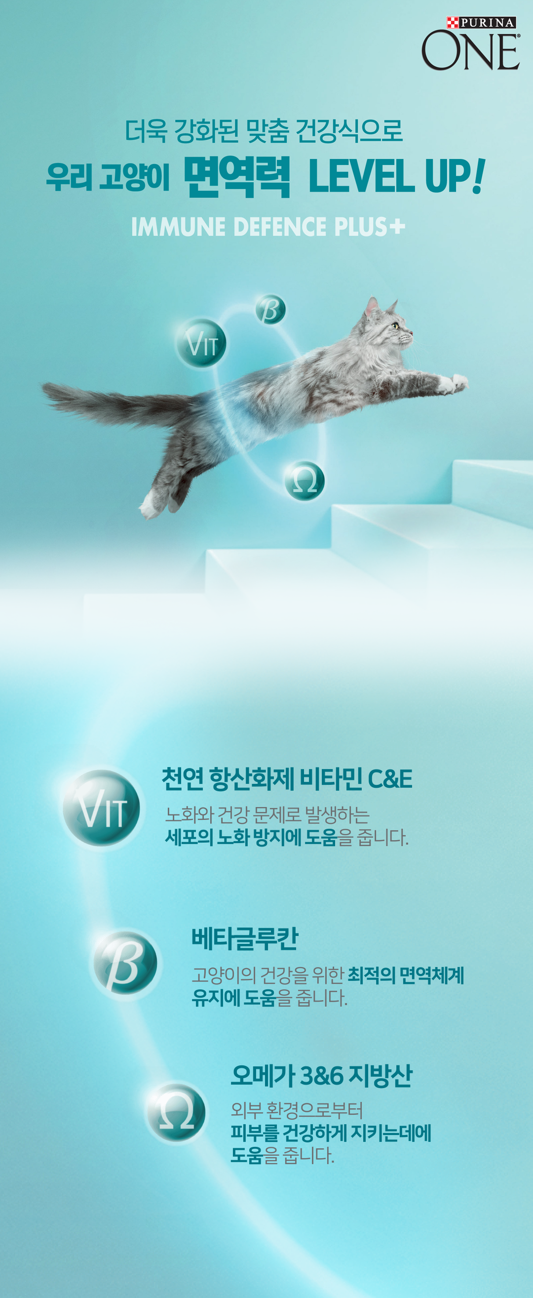 [사료샘플] 퓨리나 캣 원 1세이하 키튼 50g 0번째