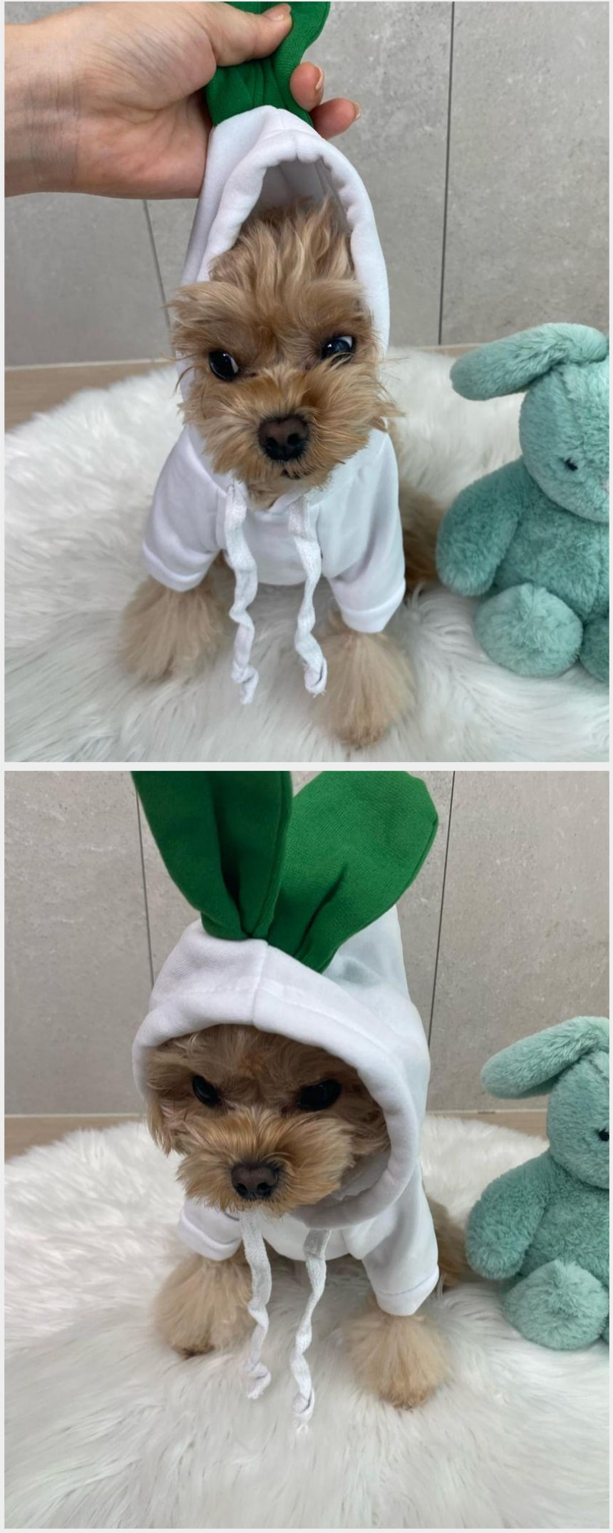 [무료배송] 알뜰펫 무수뽑기 티셔츠 4번째