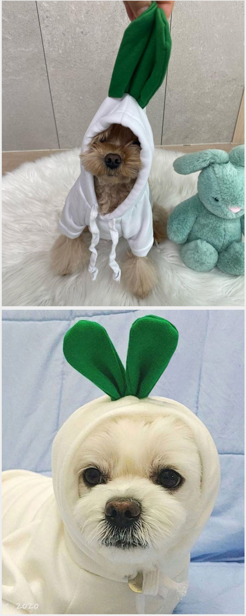 [무료배송] 알뜰펫 무수뽑기 티셔츠 6번째