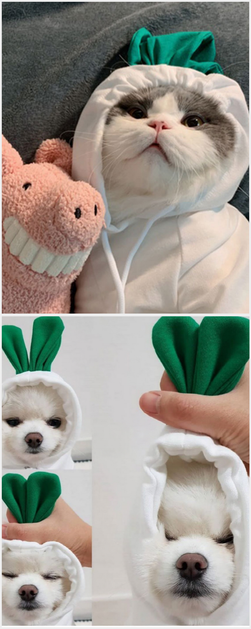 [무료배송] 알뜰펫 무수뽑기 티셔츠 7번째