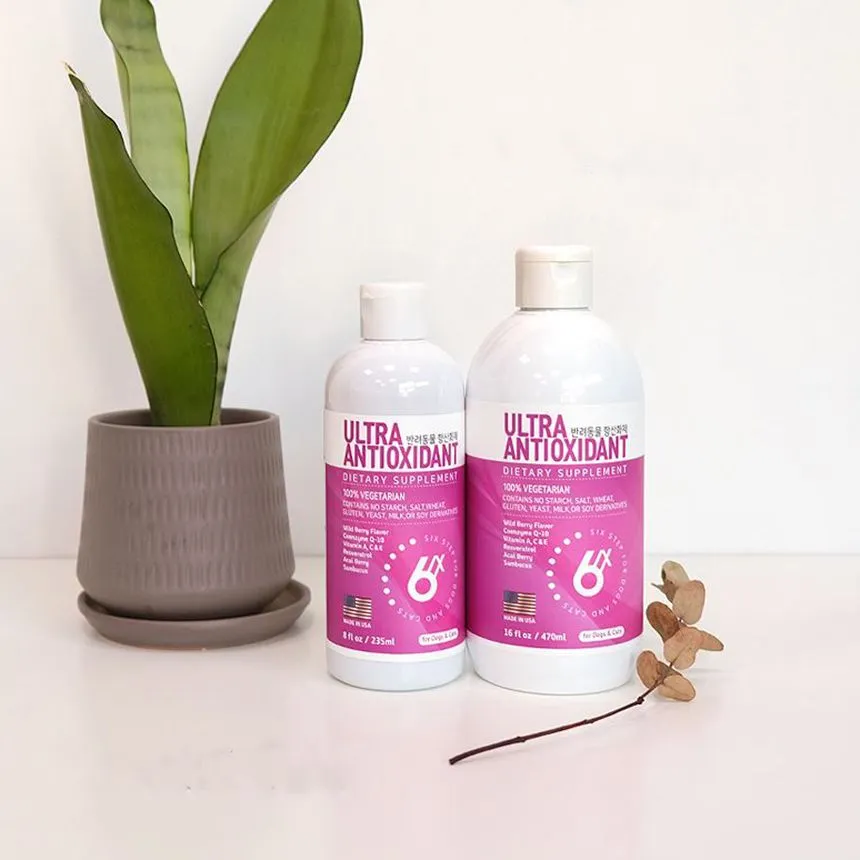 식스스텝 항산화제 울트라 안티옥시던트 235ml