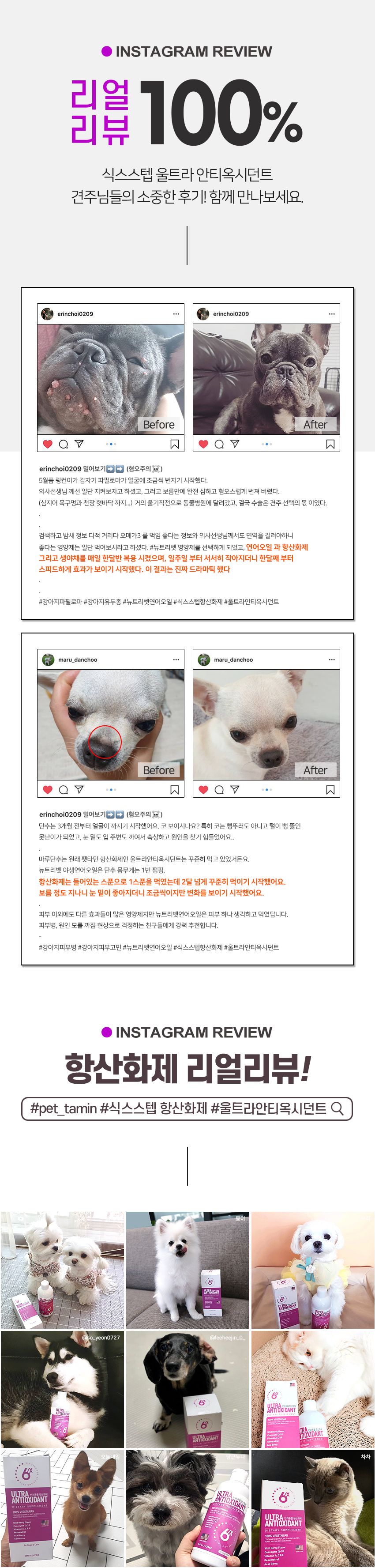 식스스텝 항산화제 울트라 안티옥시던트 235ml 1번째
