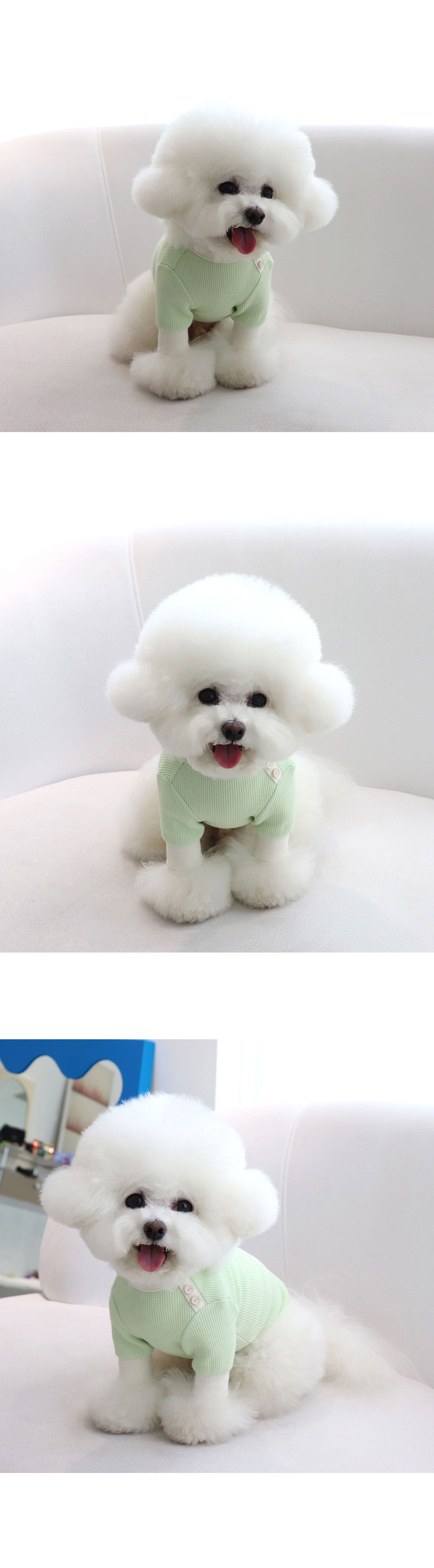[무료배송] 쉬오트 샤베트 와플 티셔츠 S-2XL 9번째