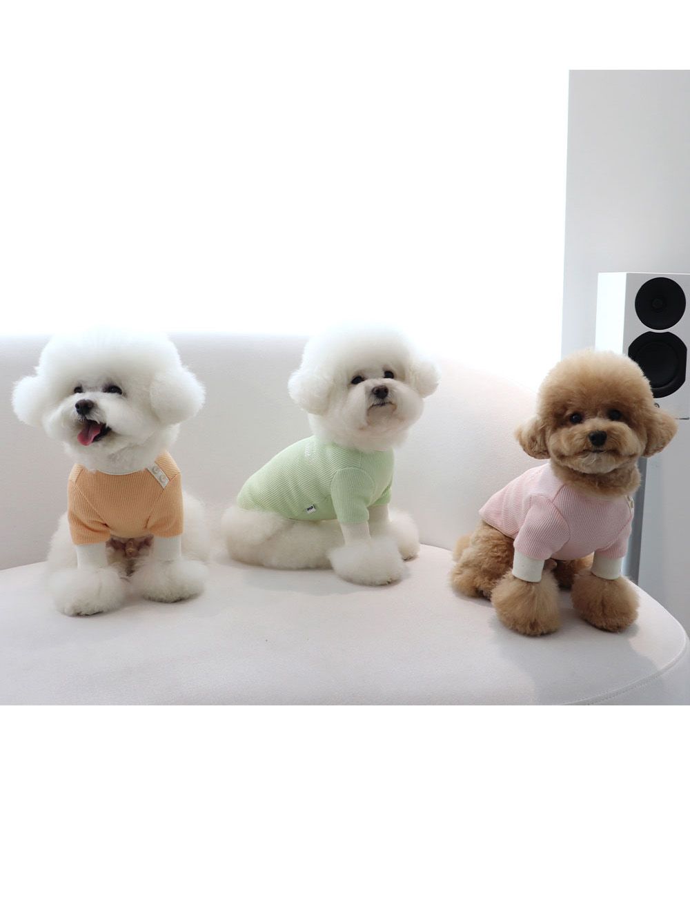 [무료배송] 쉬오트 샤베트 와플 티셔츠 S-2XL 1번째