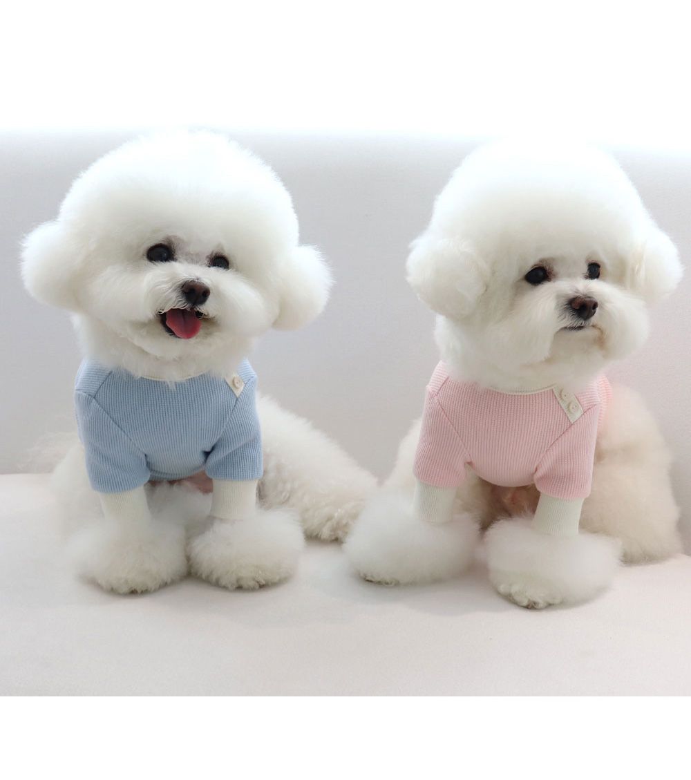 [무료배송] 쉬오트 샤베트 와플 티셔츠 S-2XL 18번째