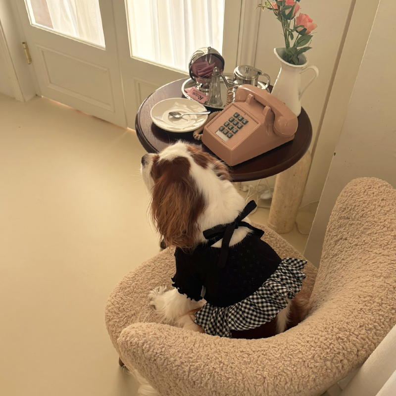 [NEW신상][무료배송] 해피댕댕 체크프릴원피스 2종 (블랙,아이보리) S-XL 14번째