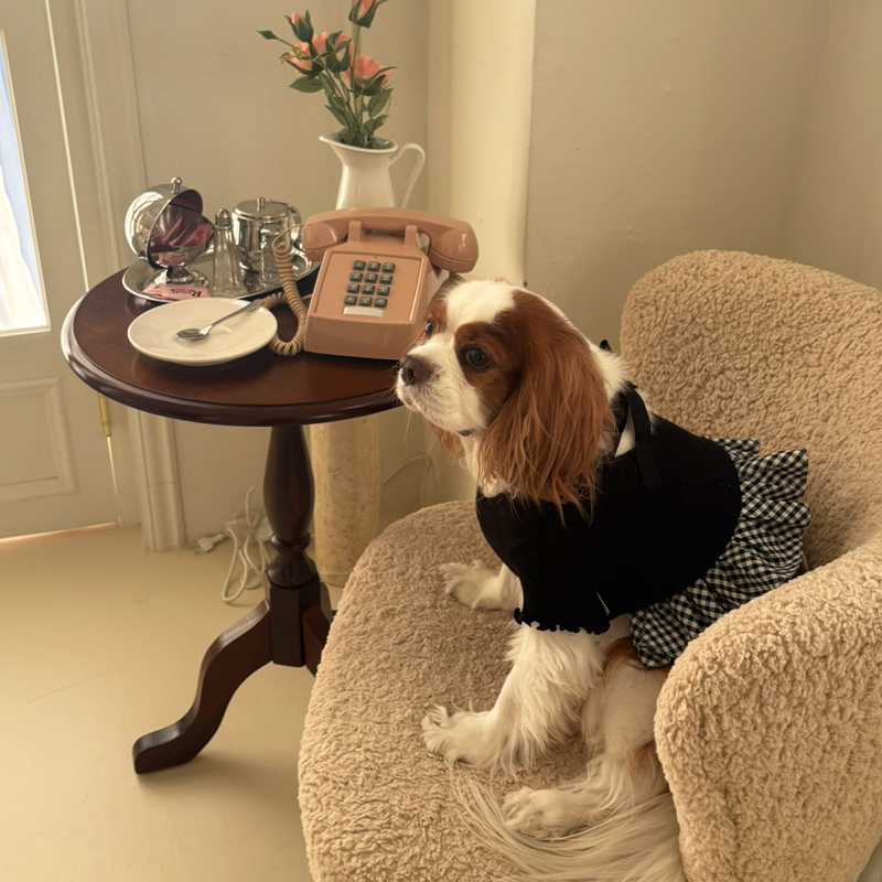 [NEW신상][무료배송] 해피댕댕 체크프릴원피스 2종 (블랙,아이보리) S-XL 13번째