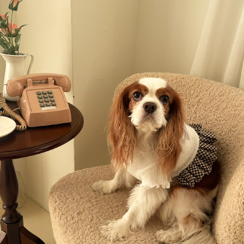 [NEW신상][무료배송] 해피댕댕 체크프릴원피스 2종 (블랙,아이보리) S-XL 8번째