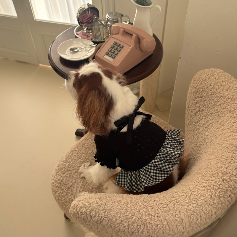 [NEW신상][무료배송] 해피댕댕 체크프릴원피스 2종 (블랙,아이보리) S-XL 12번째