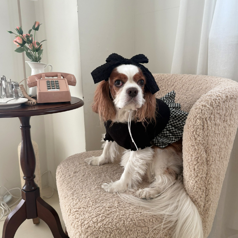 [NEW신상][무료배송] 해피댕댕 체크프릴원피스 2종 (블랙,아이보리) S-XL 11번째