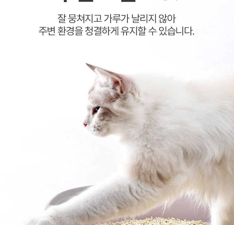 [NEW신상][무료배송] 펫볼루션 캣 물에 녹는 프리미엄 식물성 두부 모래 6L 14번째