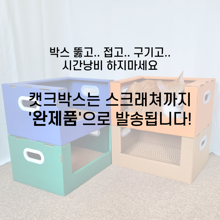 [무료배송] 캣츠크라프트 캣크박스 고양이박스 박스스크래쳐 2번째