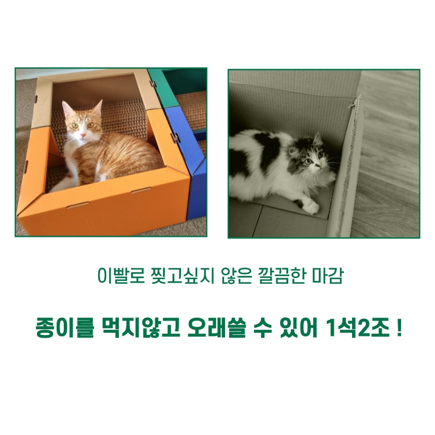 [무료배송] 캣츠크라프트 캣크박스 고양이박스 박스스크래쳐 12번째