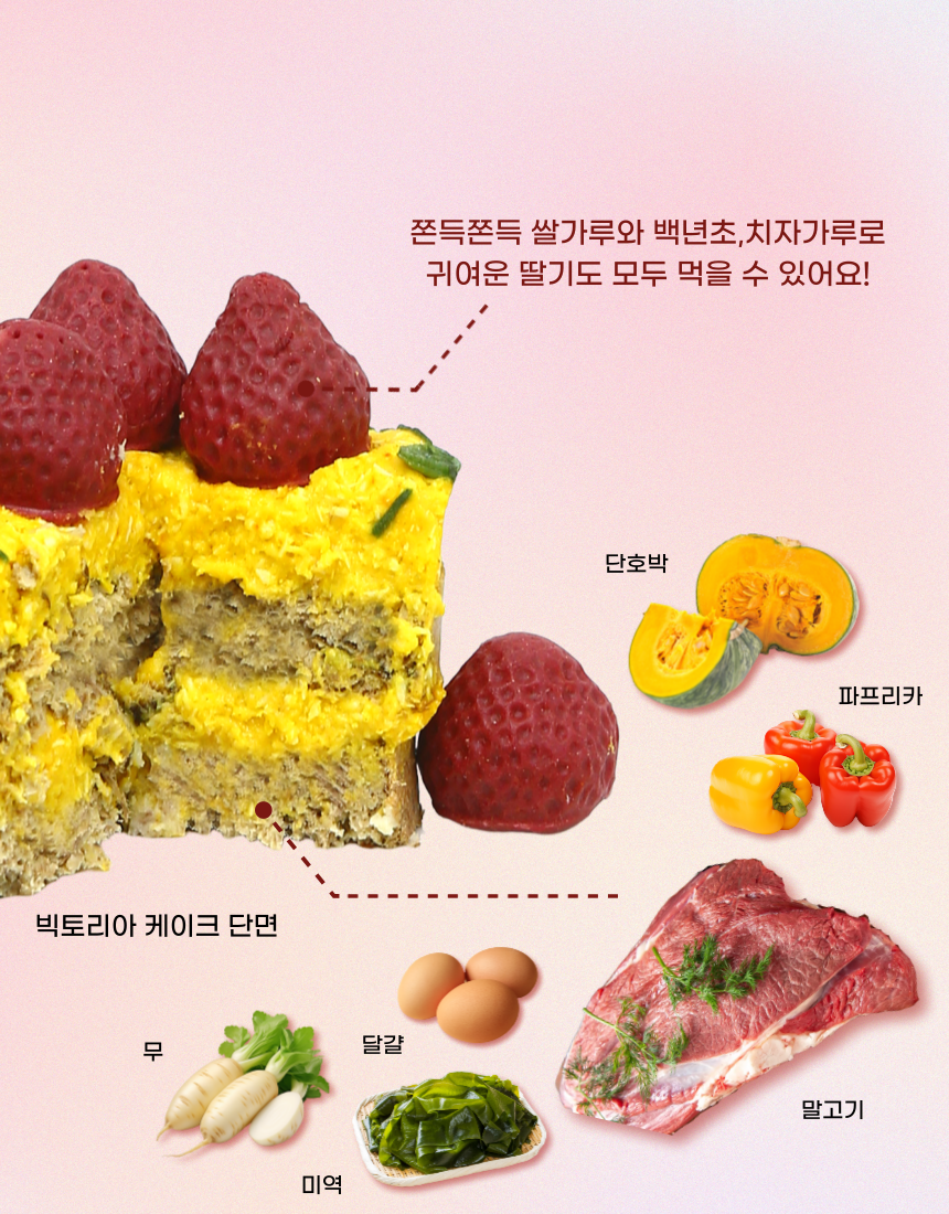 [무료배송] 견우재 구름 케이크 강아지케이크 생일케이크 9번째
