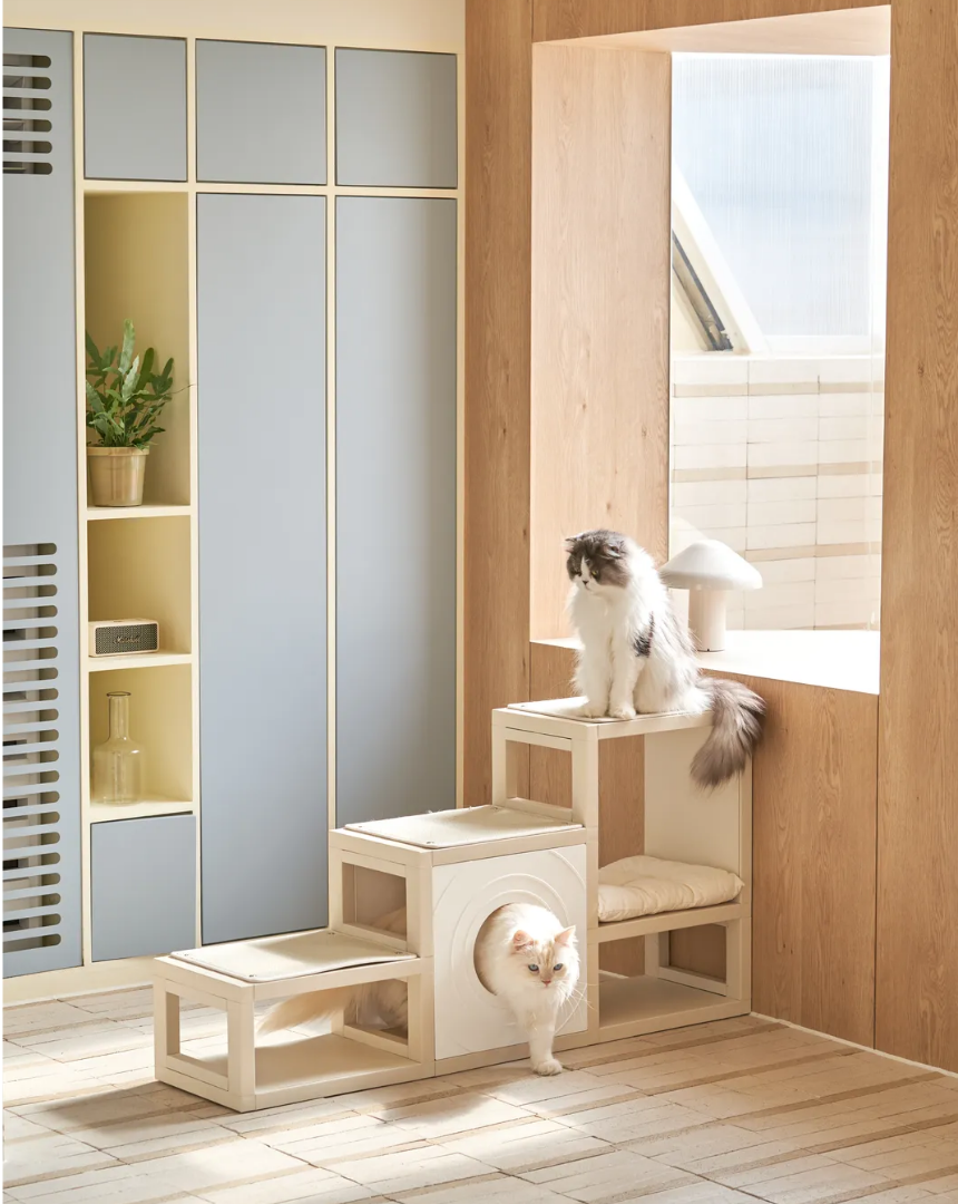 [NEW신상][무료배송] 큐빅스펫 먼치킨 노묘 낮은 캣타워 고양이계단 C+커버세트 6color+ 스크래쳐 3장포함 44번째