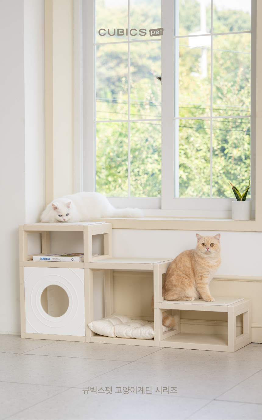 [NEW신상][무료배송] 큐빅스펫 먼치킨 노묘 낮은 캣타워 고양이계단 C+커버세트 6color+ 스크래쳐 3장포함 1번째