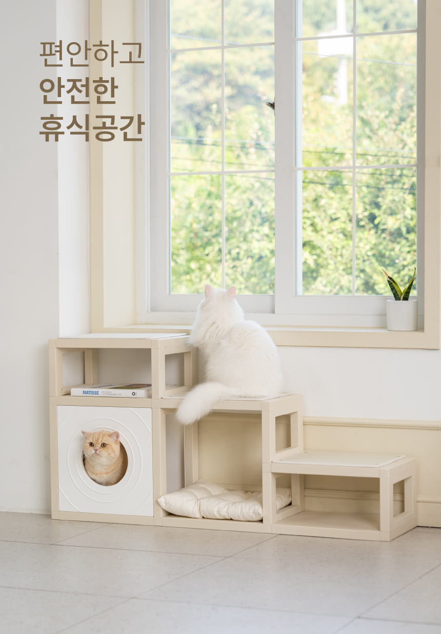 [NEW신상][무료배송] 큐빅스펫 먼치킨 노묘 낮은 캣타워 고양이계단 C+커버세트 6color+ 스크래쳐 3장포함 42번째