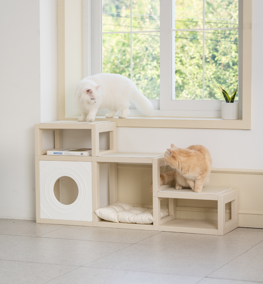 [NEW신상][무료배송] 큐빅스펫 먼치킨 노묘 낮은 캣타워 고양이계단 C+커버세트 6color+ 스크래쳐 3장포함 30번째