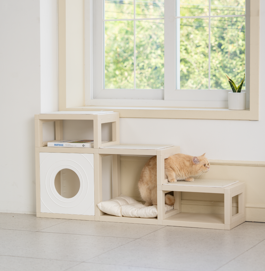 [NEW신상][무료배송] 큐빅스펫 먼치킨 노묘 낮은 캣타워 고양이계단 C+커버세트 6color+ 스크래쳐 3장포함 38번째