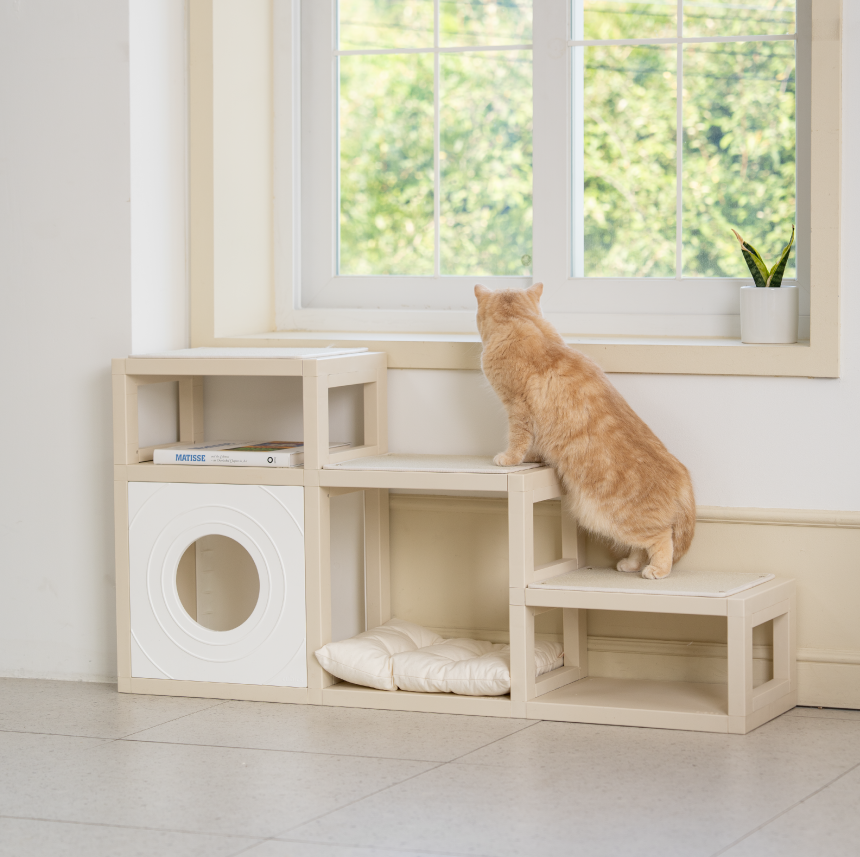 [NEW신상][무료배송] 큐빅스펫 먼치킨 노묘 낮은 캣타워 고양이계단 C+커버세트 6color+ 스크래쳐 3장포함 63번째