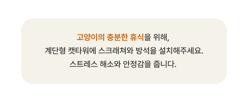 [NEW신상][무료배송] 큐빅스펫 먼치킨 노묘 낮은 캣타워 고양이계단 C+커버세트 6color+ 스크래쳐 3장포함 45번째