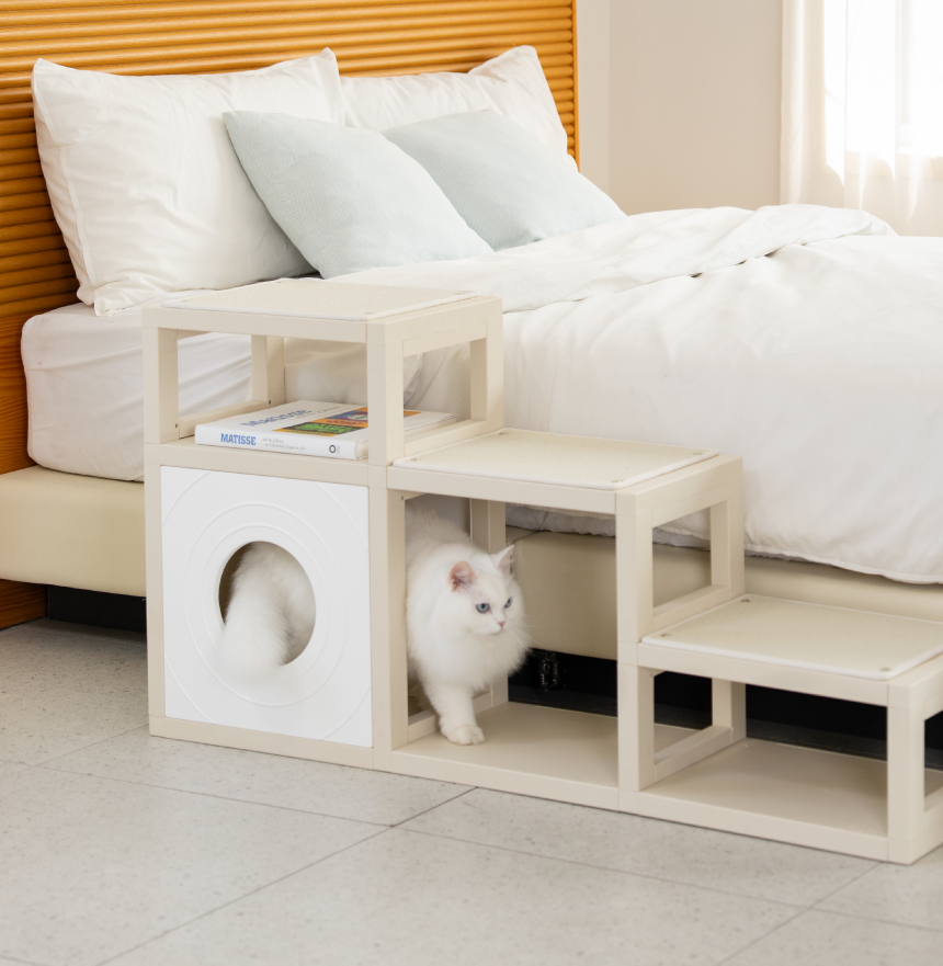 [NEW신상][무료배송] 큐빅스펫 먼치킨 노묘 낮은 캣타워 고양이계단 C+커버세트 6color+ 스크래쳐 3장포함 35번째