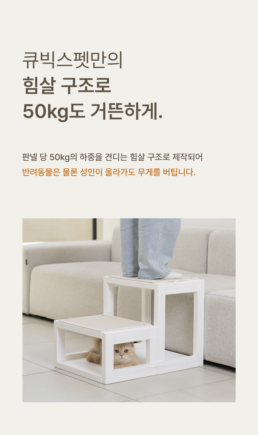 [NEW신상][무료배송] 큐빅스펫 먼치킨 노묘 낮은 캣타워 고양이계단 C+커버세트 6color+ 스크래쳐 3장포함 32번째