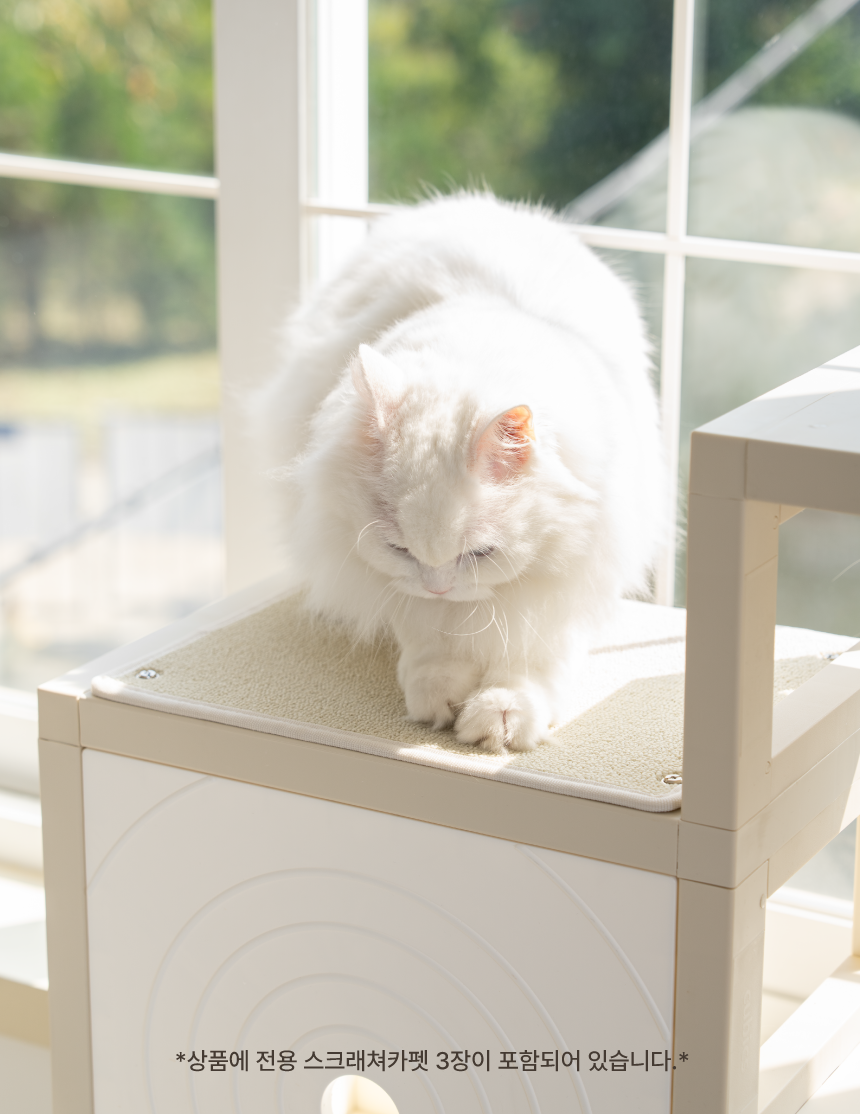 [NEW신상][무료배송] 큐빅스펫 먼치킨 노묘 낮은 캣타워 고양이계단 C+커버세트 6color+ 스크래쳐 3장포함 46번째