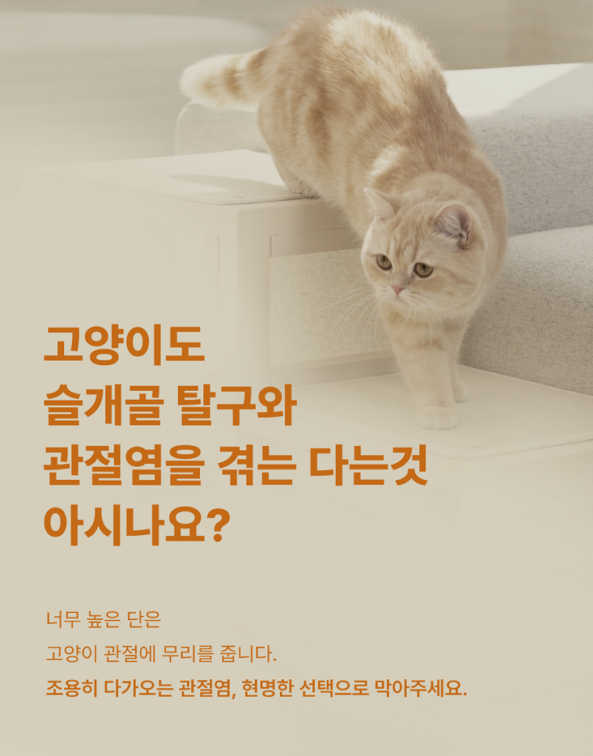 [NEW신상][무료배송] 큐빅스펫 먼치킨 노묘 낮은 캣타워 고양이계단 C+커버세트 6color+ 스크래쳐 3장포함 12번째