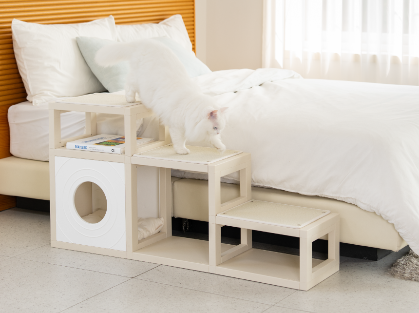 [NEW신상][무료배송] 큐빅스펫 먼치킨 노묘 낮은 캣타워 고양이계단 C+커버세트 6color+ 스크래쳐 3장포함 44번째