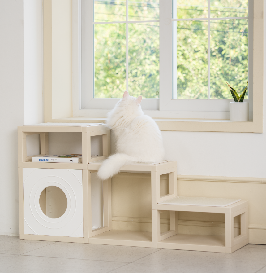 [NEW신상][무료배송] 큐빅스펫 먼치킨 노묘 낮은 캣타워 고양이계단 C+커버세트 6color+ 스크래쳐 3장포함 16번째