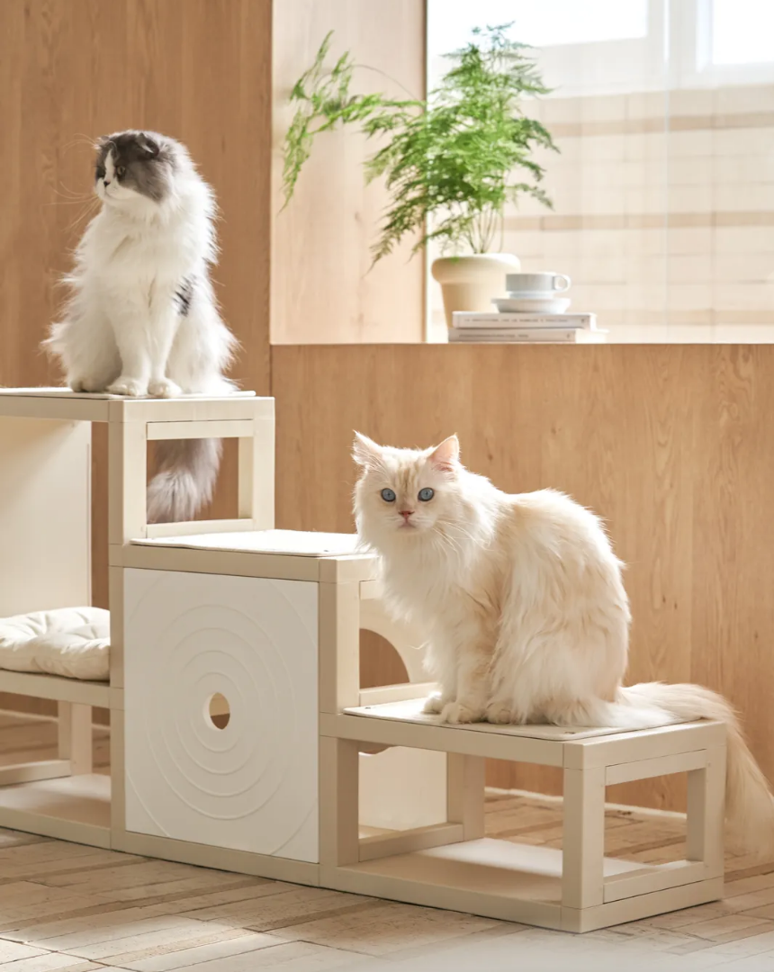 [NEW신상][무료배송] 큐빅스펫 먼치킨 노묘 낮은 캣타워 고양이계단 C+커버세트 6color+ 스크래쳐 3장포함 69번째