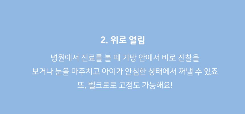 [NEW신상][무료배송] 3651 이지캐리백 이동가방 차콜 11번째