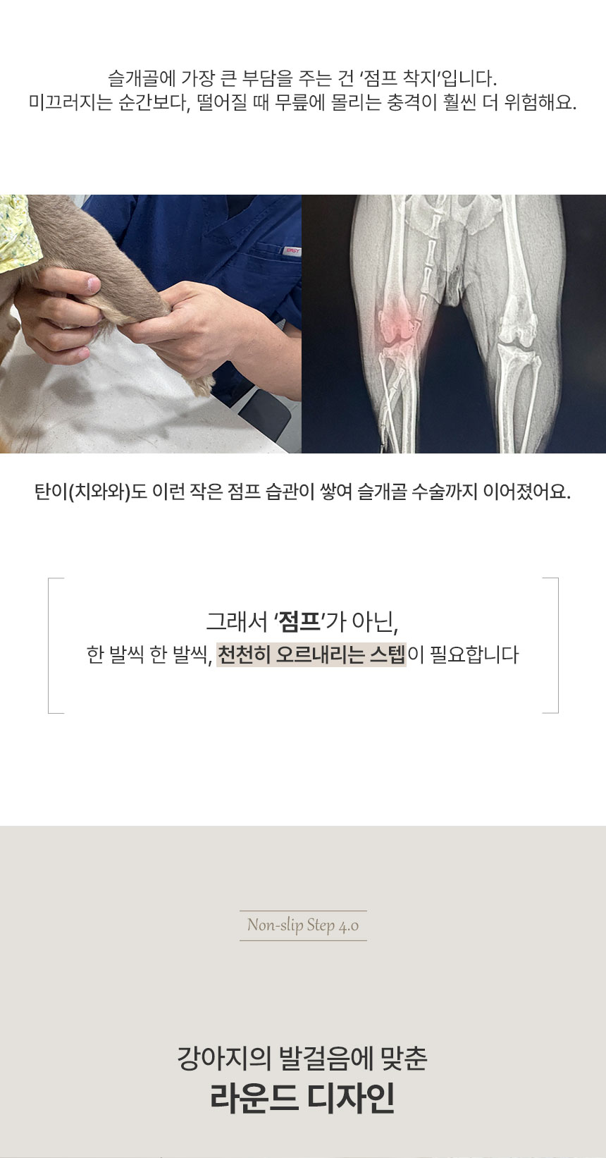 [NEW신상][무료배송] 초코펫하우스 논슬립 스텝 4.0 2단/3단/4단 13번째