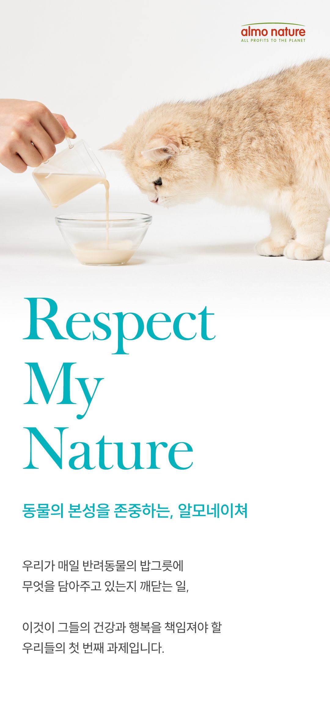 [NEW신상]알모네이쳐 캣 HFC 하이드레이션 헬프 닭육수와 살코기 파우치 50g 1번째
