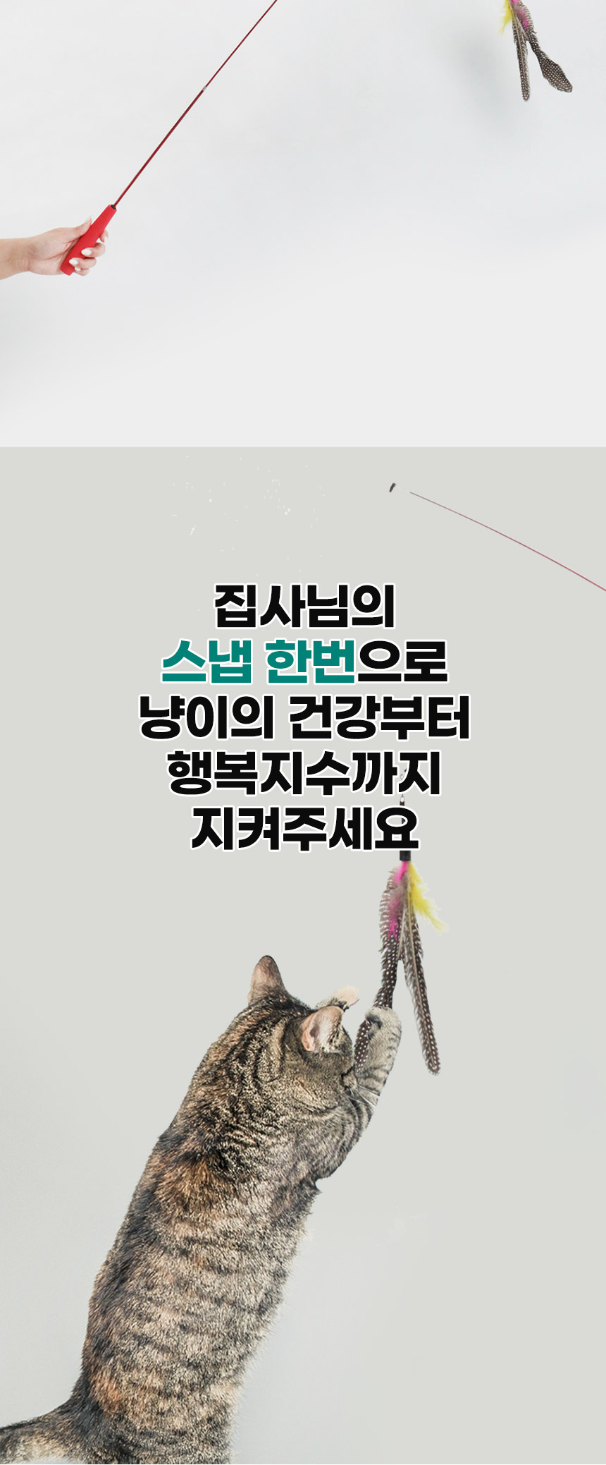 [무료배송] 딩동펫 고양이 캣츠데이 낚싯대 4종세트 5번째