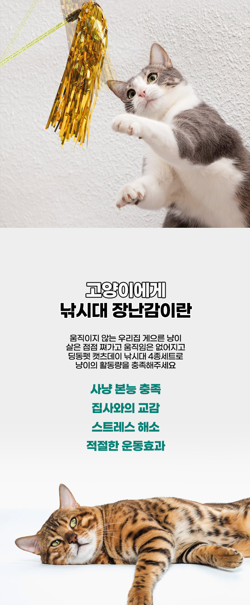 [무료배송] 딩동펫 고양이 캣츠데이 낚싯대 4종세트 2번째