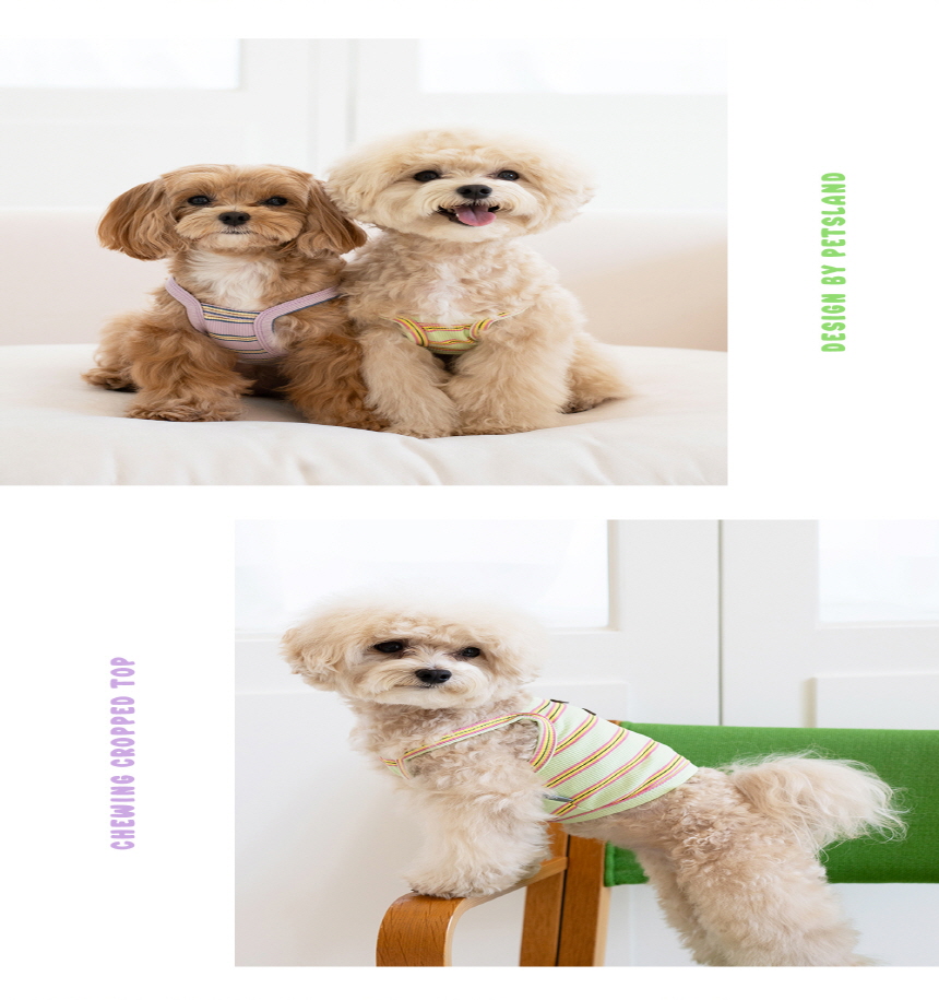 [무료배송] 펫츠랜드 츄잉 크롭 나시티 라임/퍼플 S-2XL 10번째